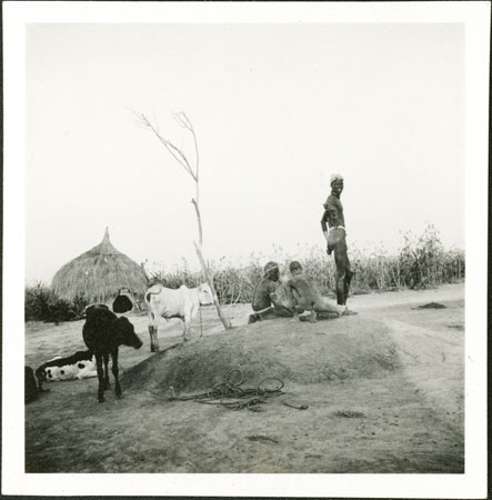 Nuer household shrine