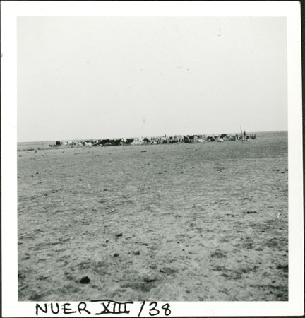 Nuer cattle camp