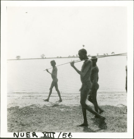 Nuer fishing