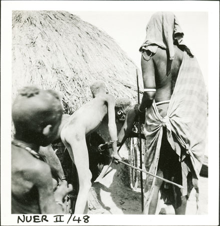 Nuer fertility ceremony 