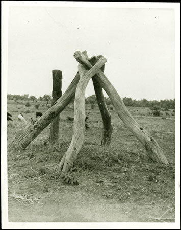 Mandari grave marker