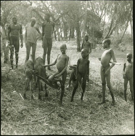 Mandari children with calves