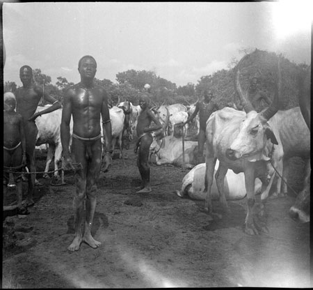 Mandari couple in cattle camp