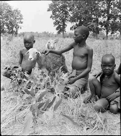 Mandari children with sheep