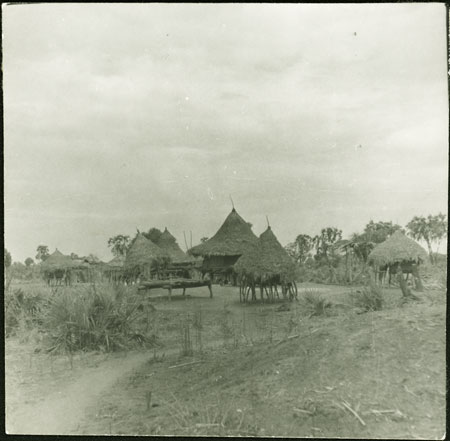 Mandari homestead