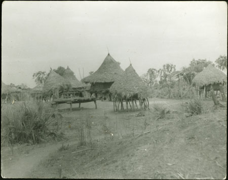 Mandari homestead