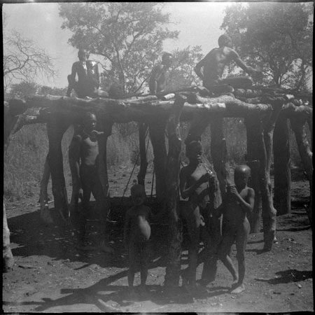 Mandari men preparing hut floor