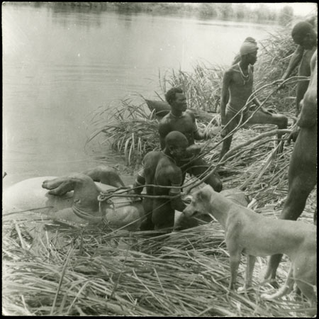 Mandari Kbora men landing dead hippo