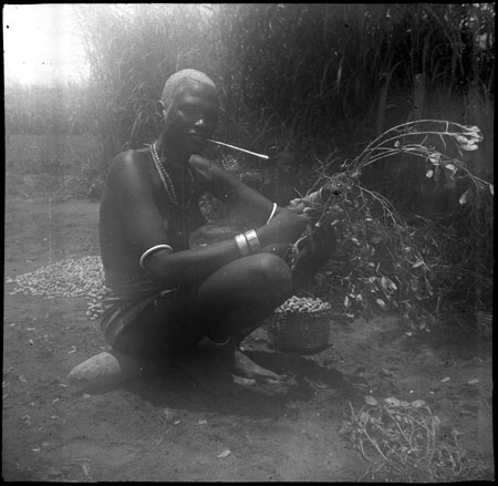 Mandari woman preparing groundnuts