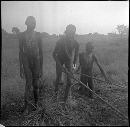 Mandari youths hoeing