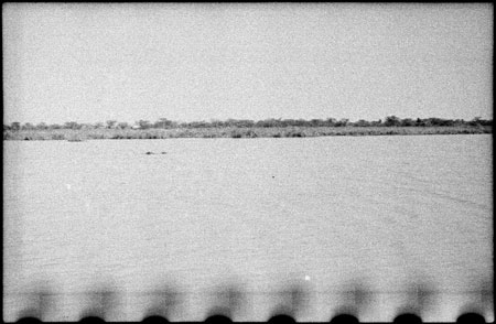 Nuerland Lagoon with hippo