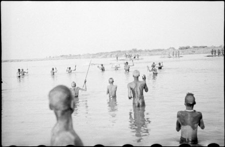 Nuer men hunting hippo