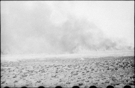 Grass burning in Nuerland