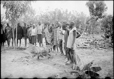 Nuer banana plant