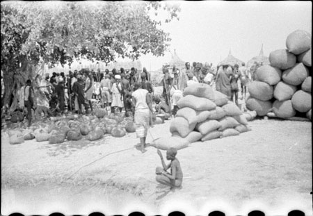 Landing stage in Nuerland