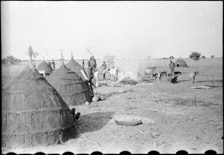 Nuer cattle camp