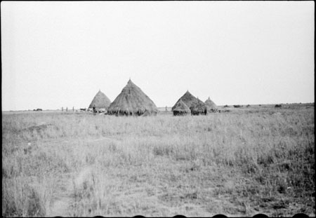 Nuer homestead