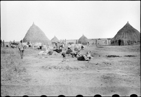 Nuer homestead