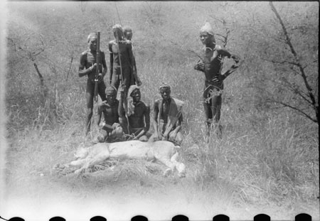 Nuer porters with lion