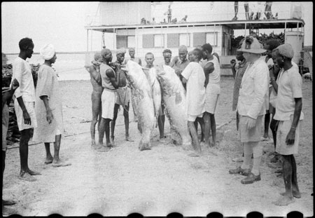 Wedderburn with Nile Perch