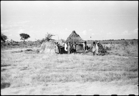 Shilluk homestead