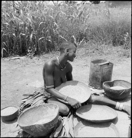 Dinka woman winnowing