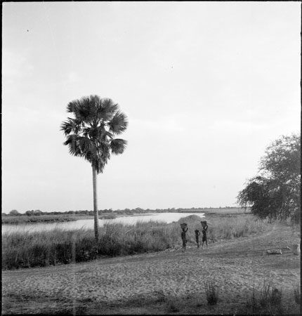 River scene in Dinkaland