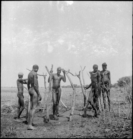 Dinka men building shelter