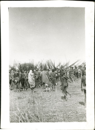 Large Dinka dance gathering