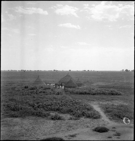 Dinka homestead