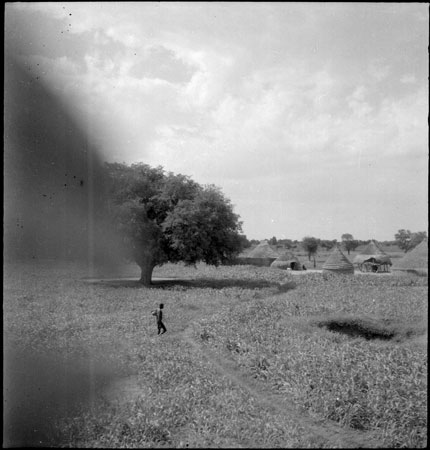 Dinka homestead