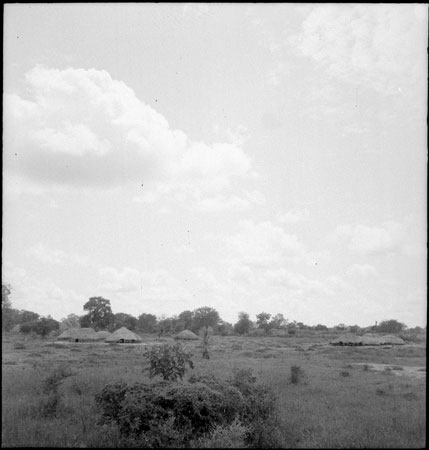 Dinka cattle byres