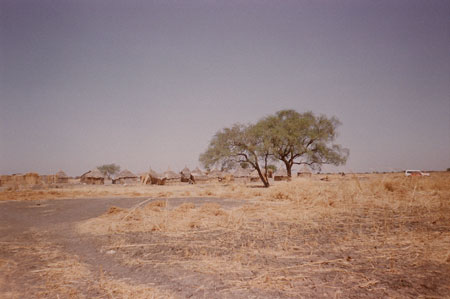 Dinka houses