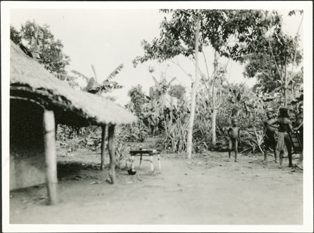 Zande circumcision ritual