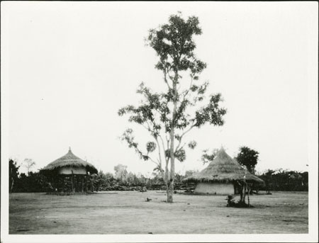 Zande homestead 