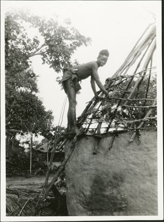 Zande hut roof construction