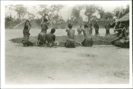 Zande women beating eleusine