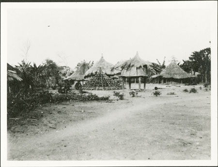 Zande homestead in Government settlement