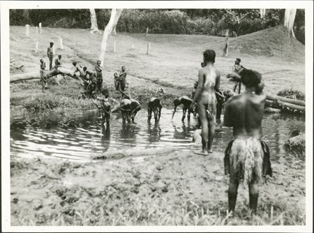 Zande circumcision initiates washing