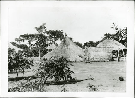 Zande homestead 