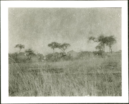 Nuer homestead 