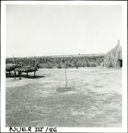 Nuer household shrine