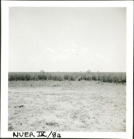 Nuer homestead