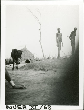 Nuer household shrine