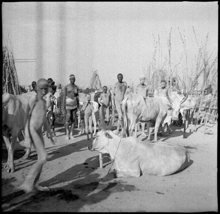 Mandari Köbora cattle camp
