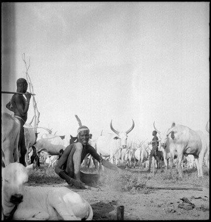 Mandari Kbora cattle camp