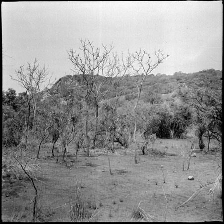 Rocky outcrop in Mandari