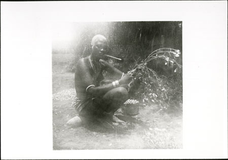 Mandari woman preparing groundnuts