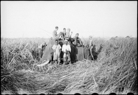 Elephant shot in Nuerland