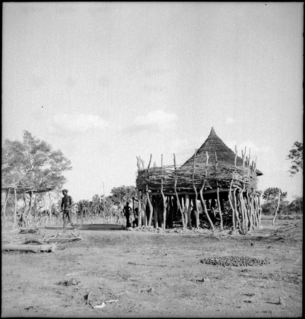 Gok Dinka homestead